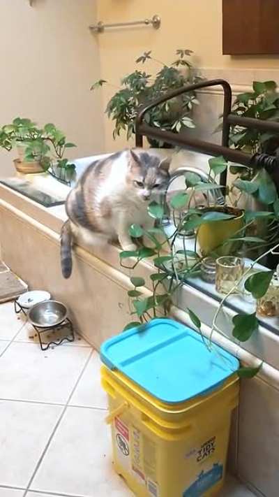 We told her to stop eating the plants so now she just pretends.
