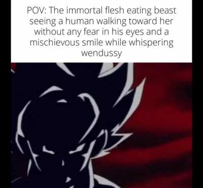 oop used pov correctly