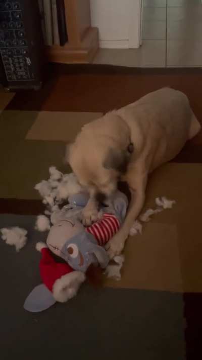 No squeakers!