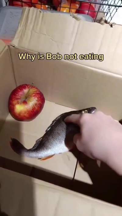 idk