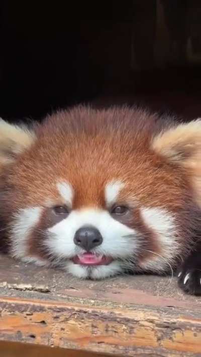 sleepy... ~_~
