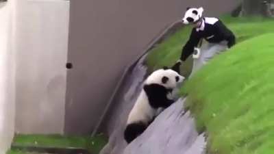 Maybe maybe maybe