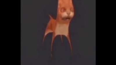 noo