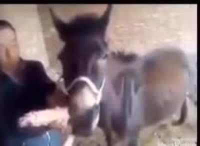 Meh when Mary wanna😳