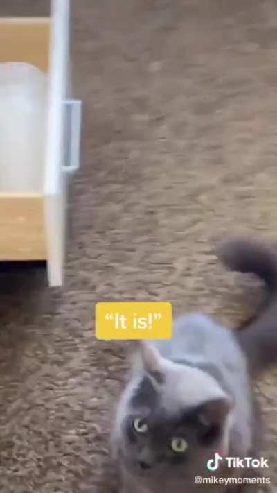 Thief