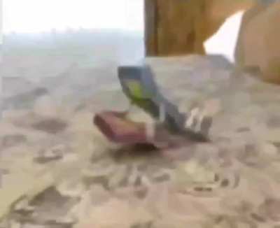 Telefon p*rnosu