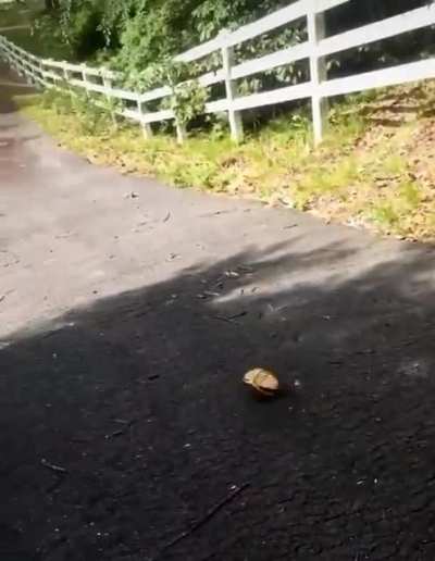 WCGW trying to mate on a steep hill