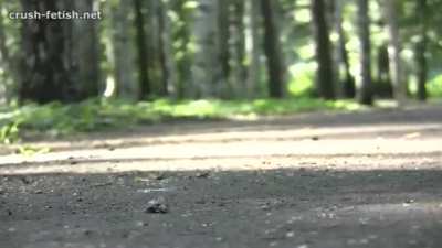 Sandra Snail Walkover