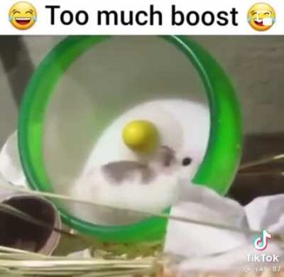 Fast Hamsters