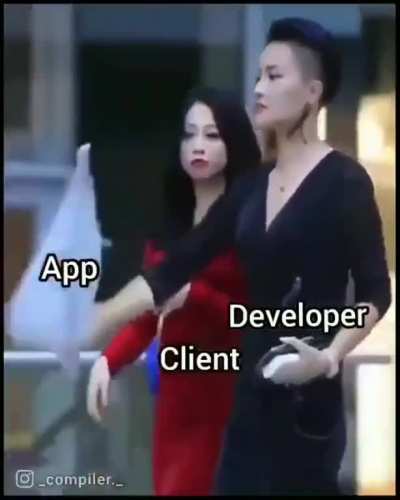 Developer 