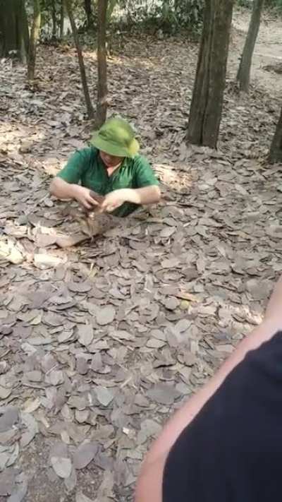 Unbelievable camouflage - Vietnam