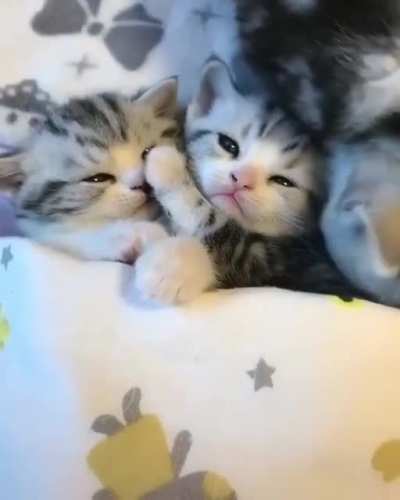 I can watch this for 1000 times...cuteness