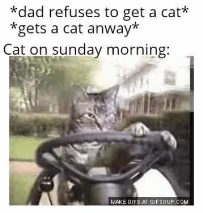 It even started making jokes