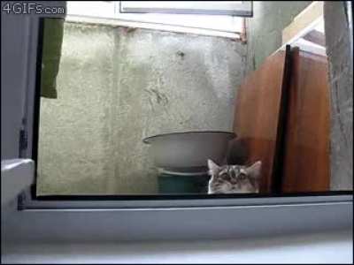MRW I was 8 years old and heard my parents fighting in the living room