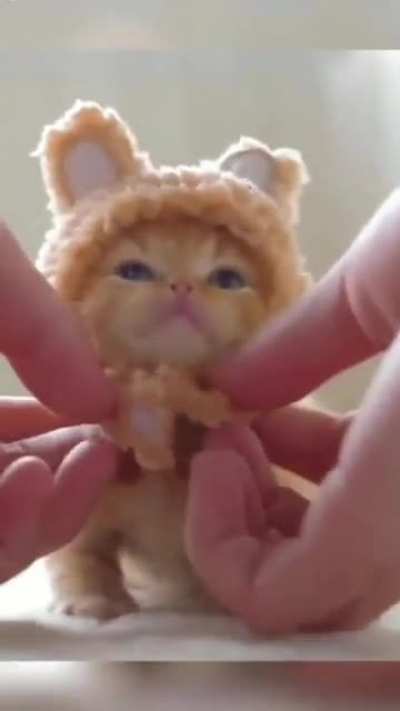 So adorable