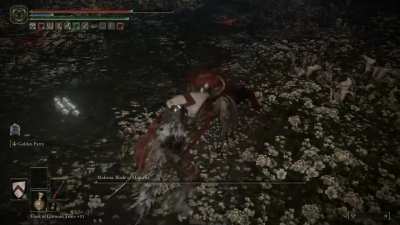 Certified Soulsborne Moment