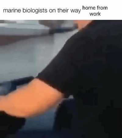 Levotatae?