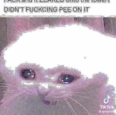 pee pee boy