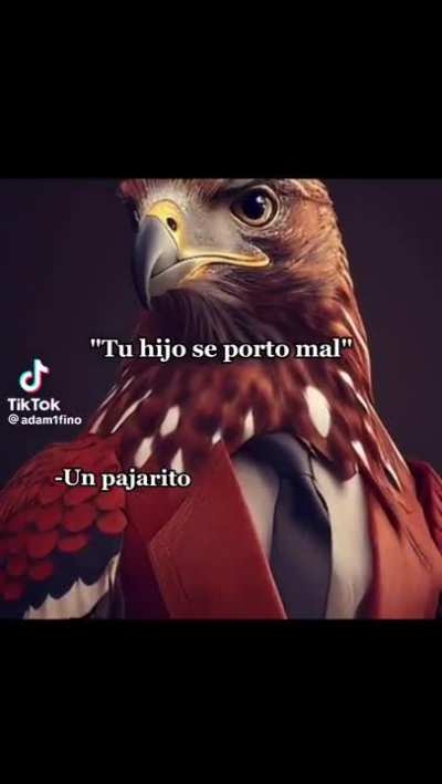 Buchon hdp