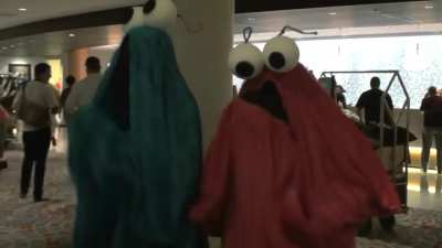 yip yip yip yip yip yip yip