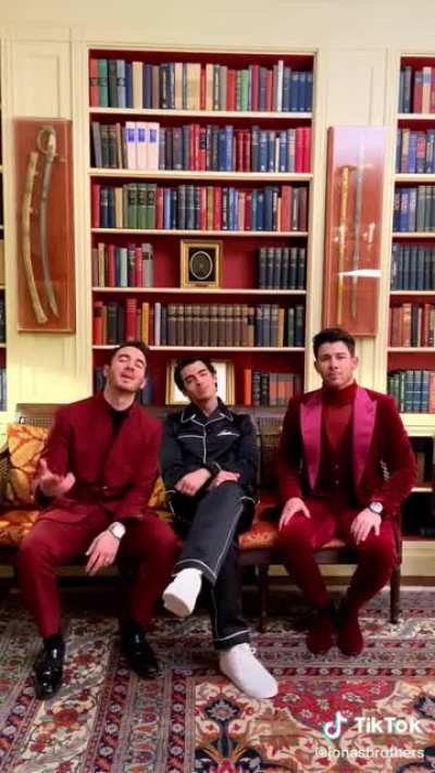 The Jonas brothers