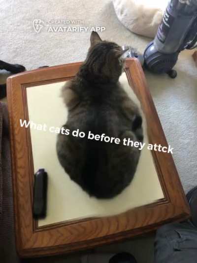 True