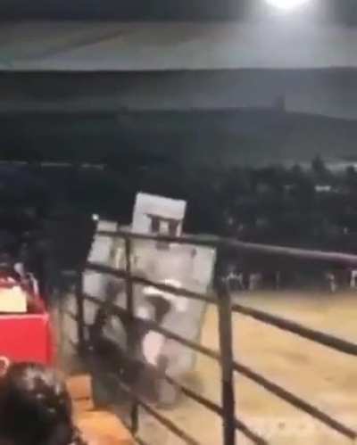 Minecraft Rodeo