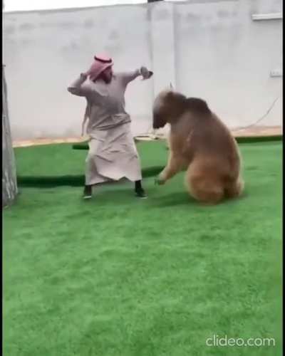 Man pulled the reverse card