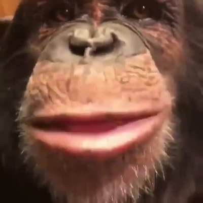 hey bro you want some chunky monkey?
