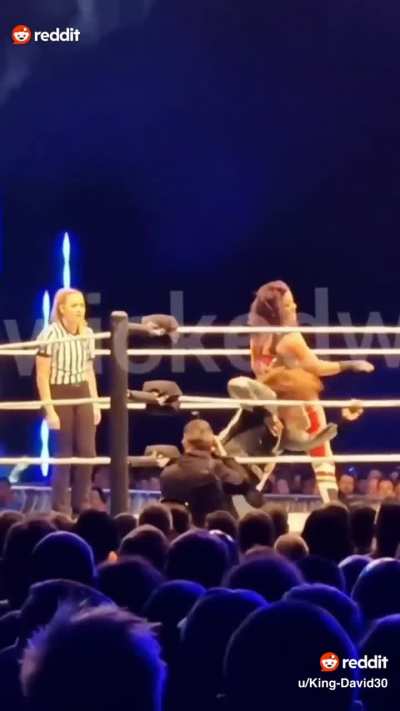 Bayley