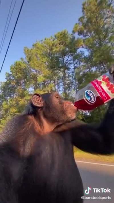 tá gostoso o suco muquinha?