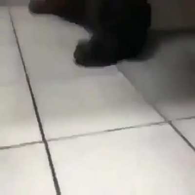 eEYi-