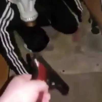 Cursed_Pet