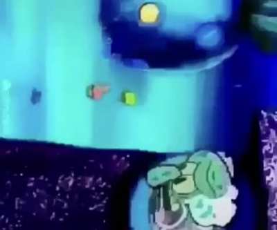 Wtf squid