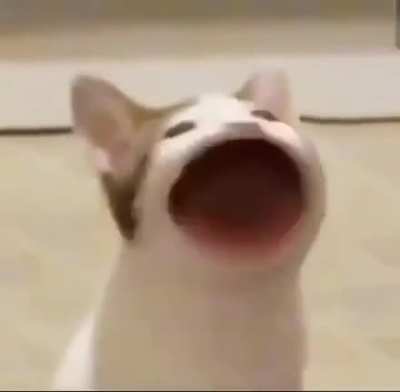 poopost