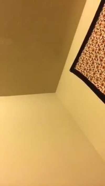 periscope thots