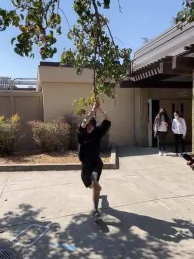 Falling off a tree