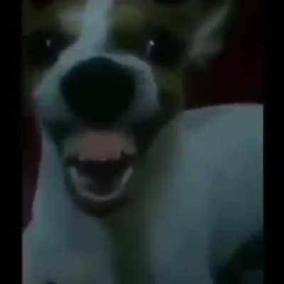 HehehehahshahahHahhwhahehahehwhahehha