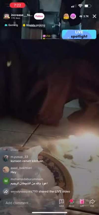 Just watched 30 minutes of this on tik tok live.