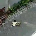 Então um Fãboi do 