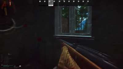 interesting woods experience