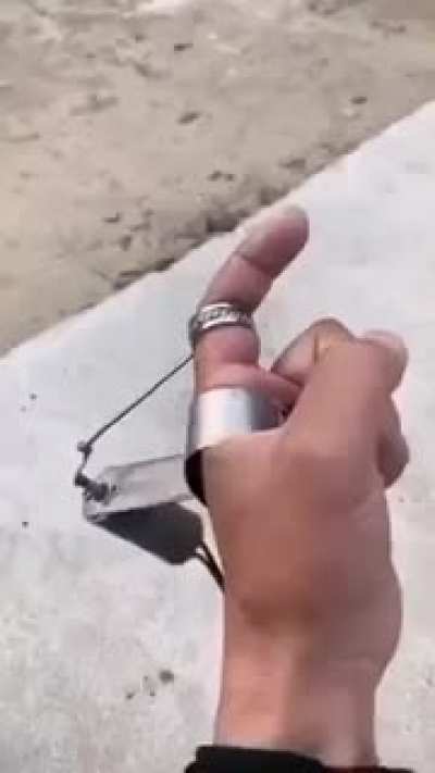 witch one of you made this?
