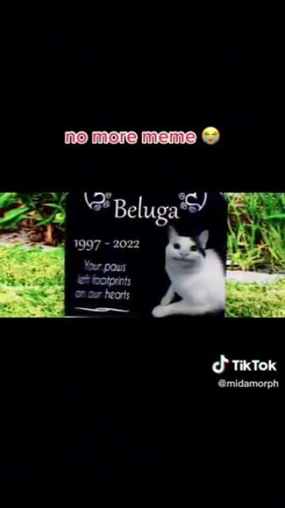 no 😭😭😭