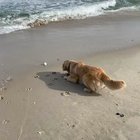 No balls left behind