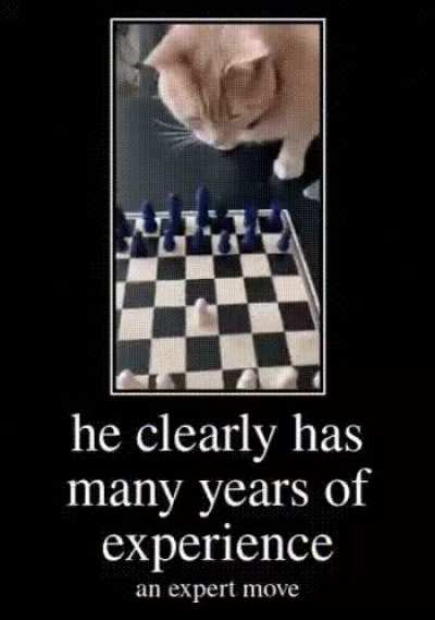 rule