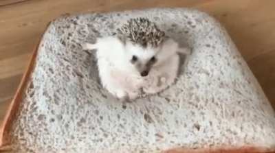 MRW I’m 9 months pregnant and have to pee in the middle of the night but I have a memory foam mattress.