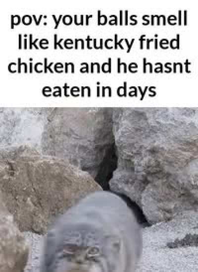 balls