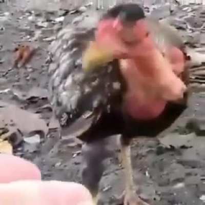 Hmmmm