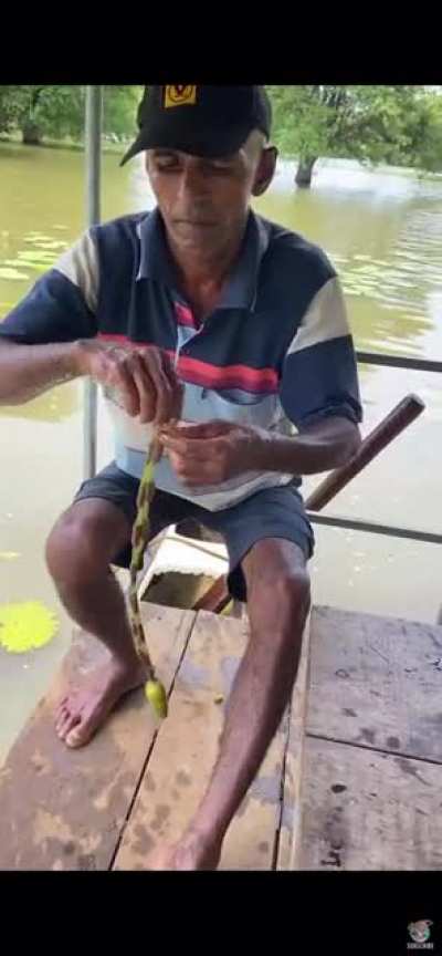 Turning a Water Lily into a Necklace