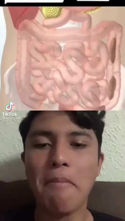 Yum